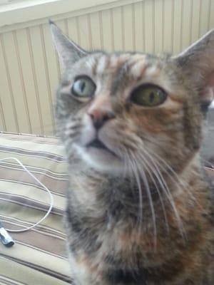 photo of Melissaphilia W.