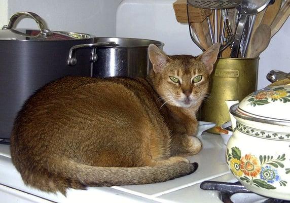 photo of Elizabeth C.