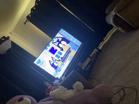 photo of nicholas p.