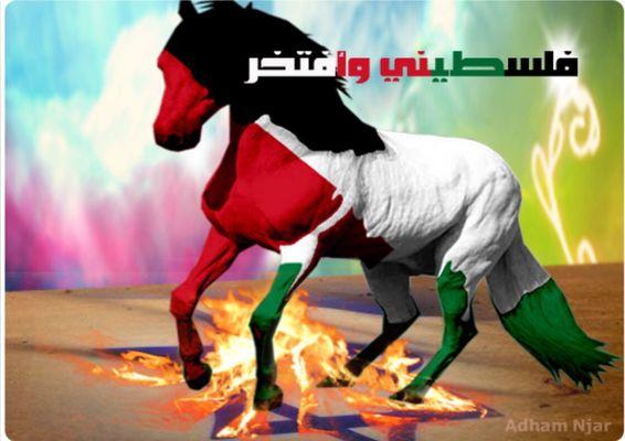 Photo of Samer A.
