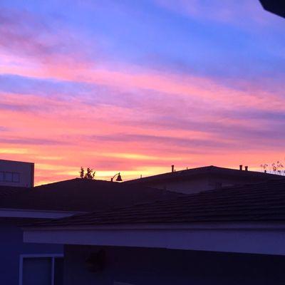 photo of Jonathan C.