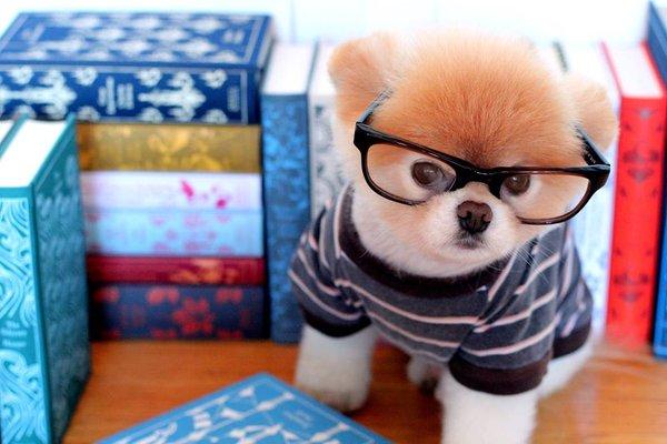 photo of Catharine E.