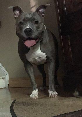 photo of S.Nikole G.