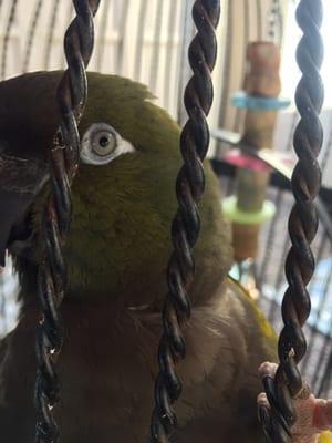 photo of Yelper2015 P.