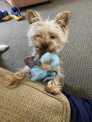 photo of Mischelle F.