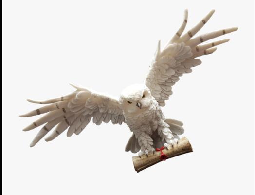 photo of Electric D.