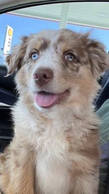 photo of Petronella L.