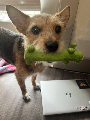 photo of Marielle S.