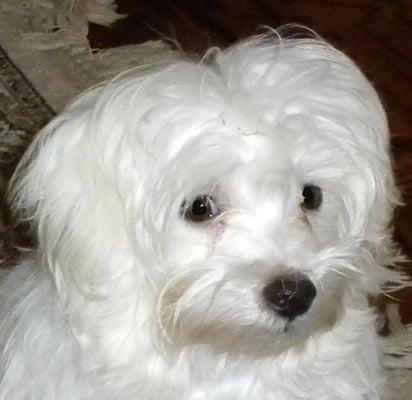 photo of Randolph S.