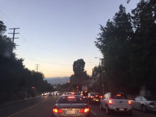 photo of QtinPink G.