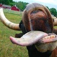 photo of Lynnette S.