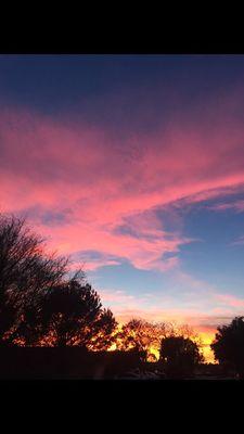 photo of Toni Marie P.