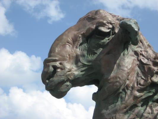 Photo of Questions Of Travel M.