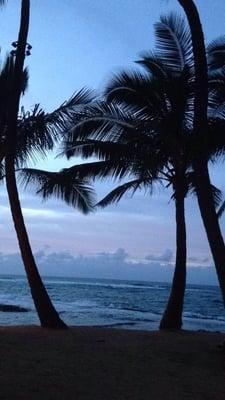 photo of Nessreen N.