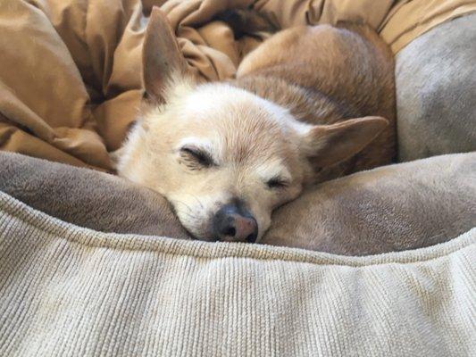 photo of Isabelle K.