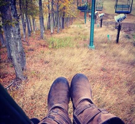 photo of Michelle S.