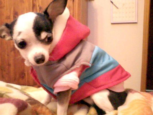 photo of Christina V.