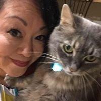 photo of Little Bee H.