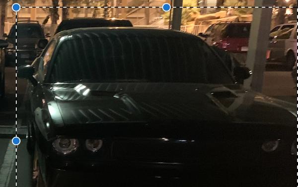 photo of Scott And Esperanza F.