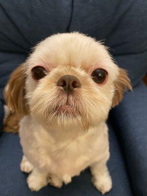Photo of Angel L.