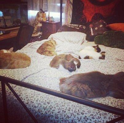 photo of BenjaminMyDevil