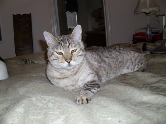 Photo of Alida F.
