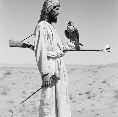 Photo of Jonathan R.