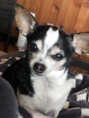 photo of Jennifer M.