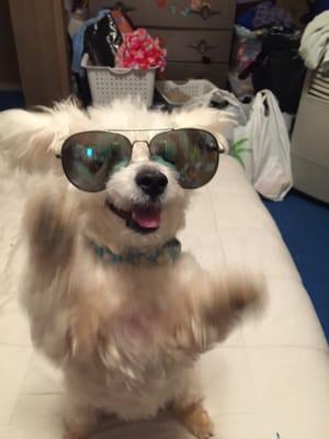 Photo of Kieu Anh N.