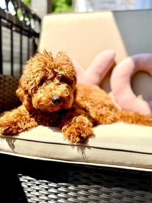 photo of kimberly l.