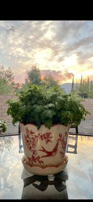 photo of Rochelle D.