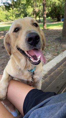 photo of Destynee N.