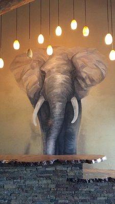 photo of Christine M.