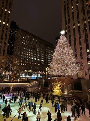 photo of Christine P.