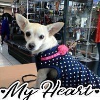 Photo of Ines Denise B.