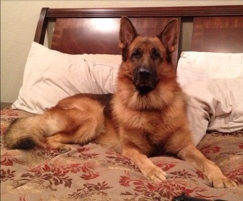 photo of Carolina P.