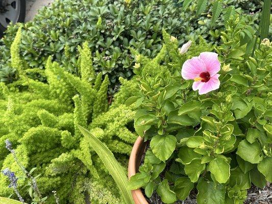 Photo of Elizabeth G.