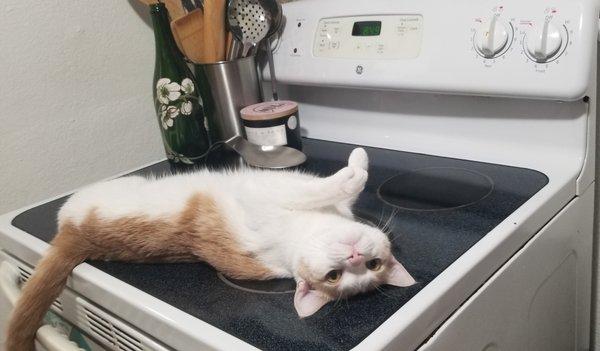 photo of Virginia R.