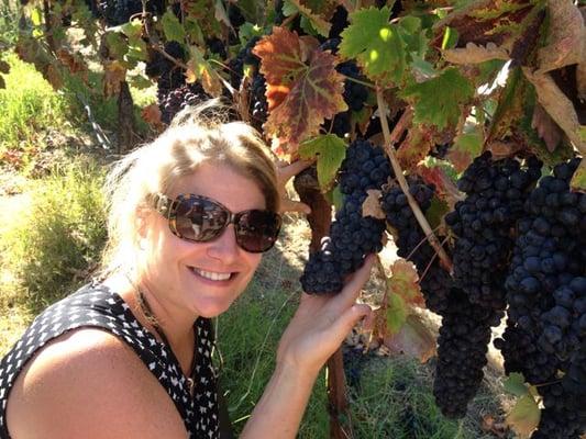 photo of Jennifer Y.