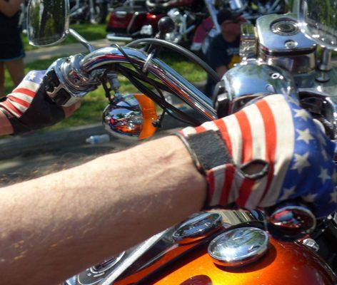 photo of Shiny Side Z.