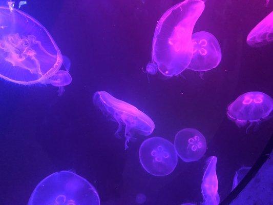 photo of Christine B.