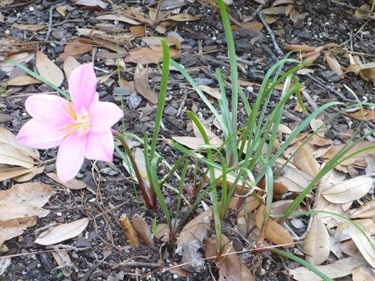 Photo of Michelle C.