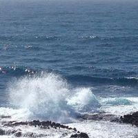 photo of Catherine P.