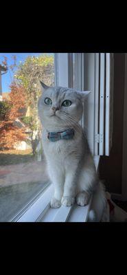 photo of Anhtriet T.