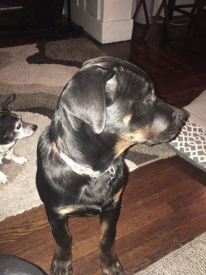 Photo of Faith1970s ..