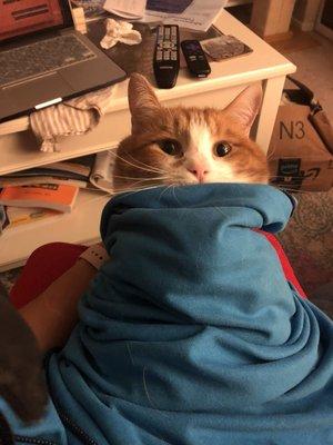 photo of Carolina C.