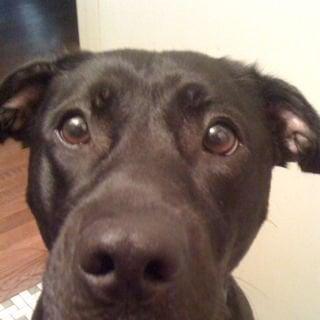 photo of Jennifer P.