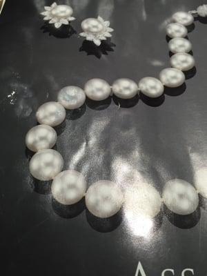 photo of pitipitipa b.