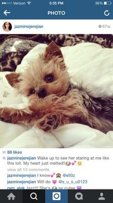 photo of Michelle J.