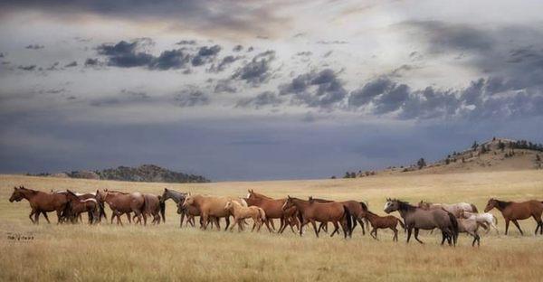 photo of Jennifer H.